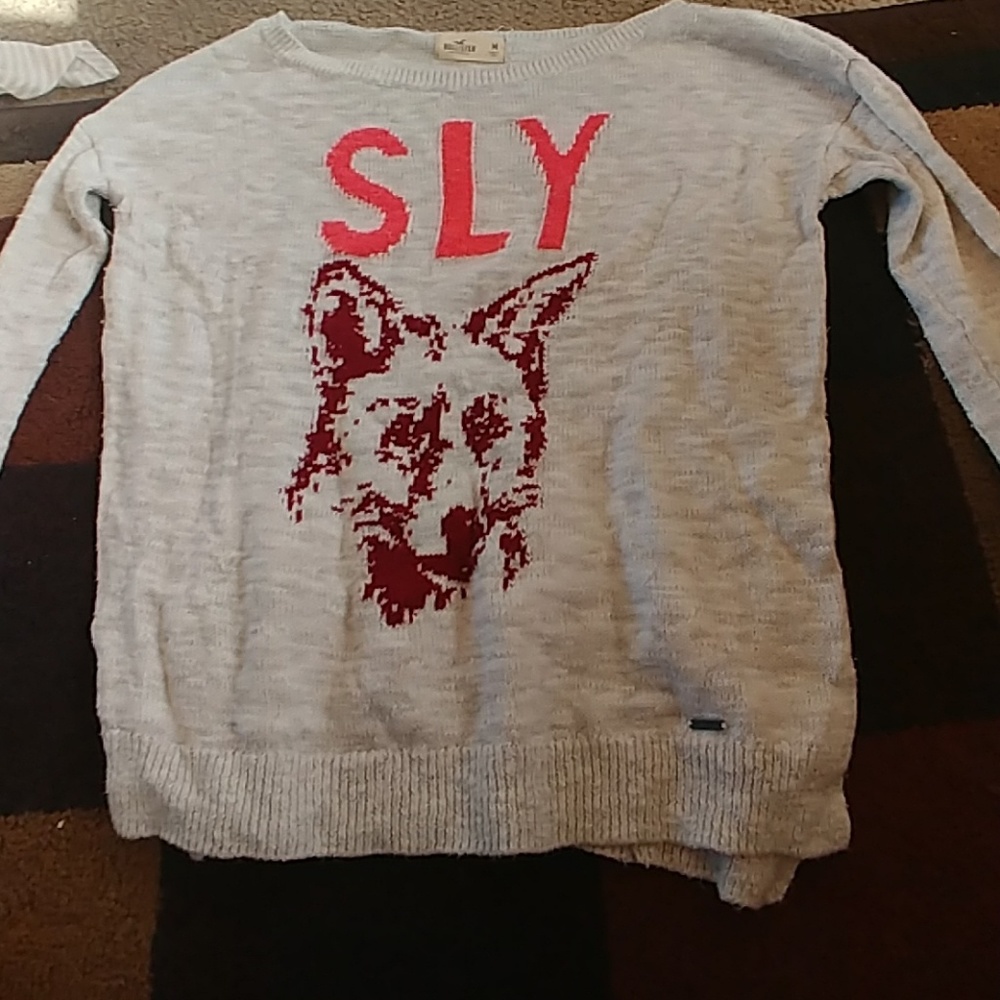 Hollister sweater